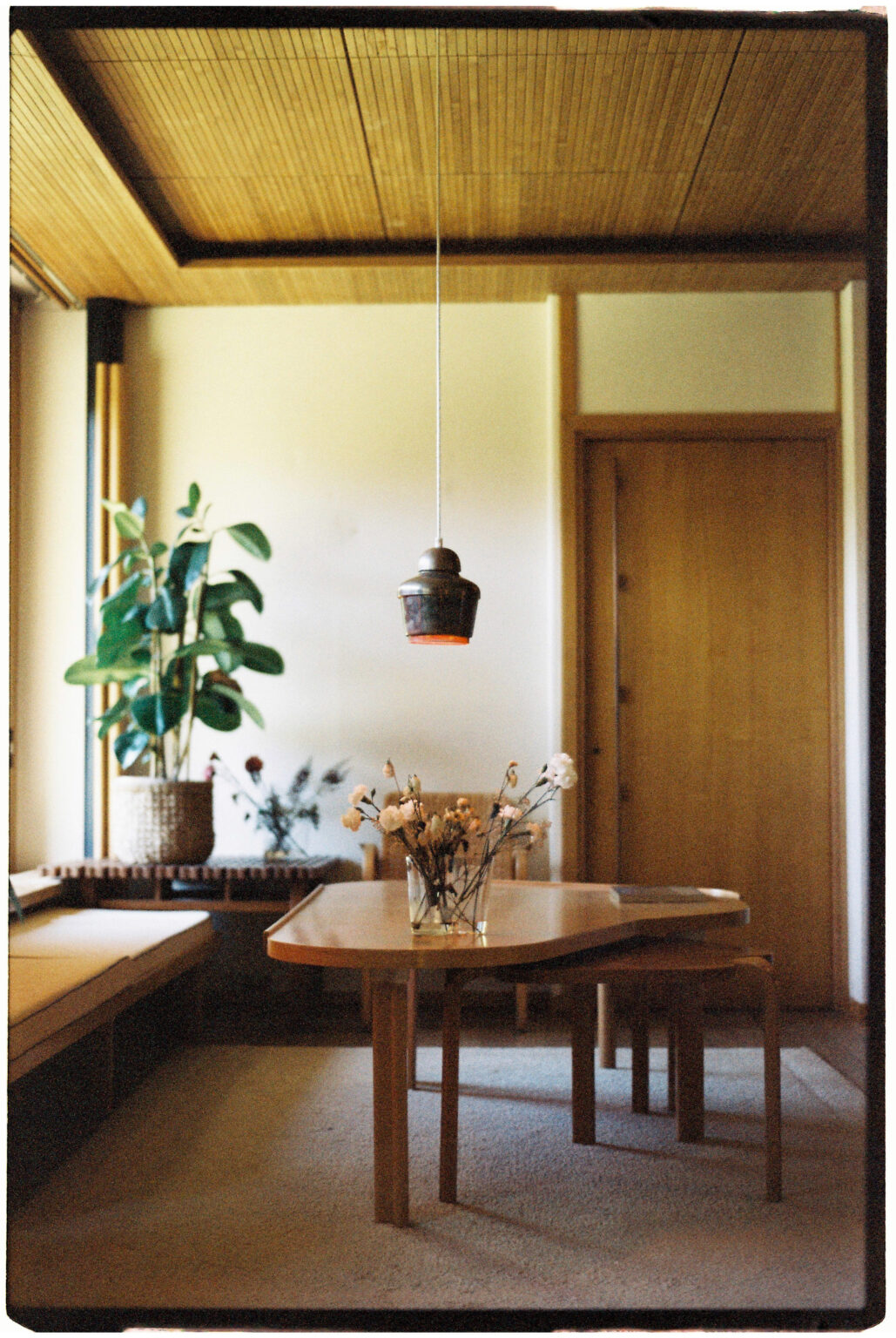 5276 - 2022.10.20 - Solenn - Color 200-28