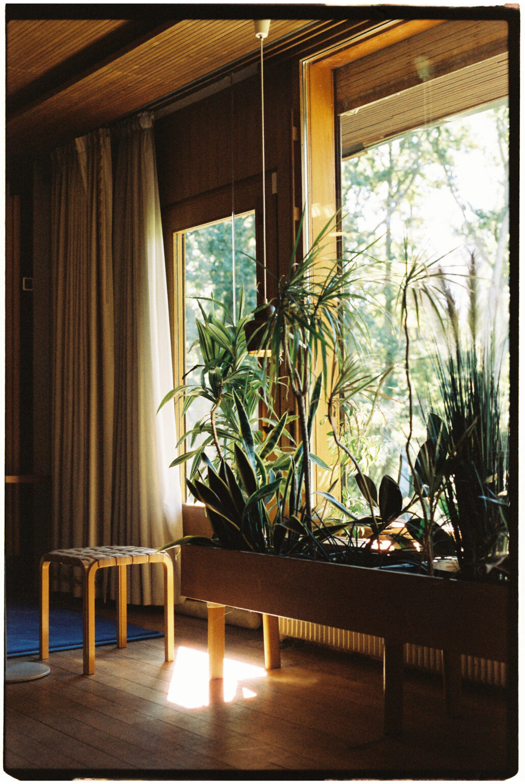 5276 - 2022.10.20 - Solenn - Color 200-35