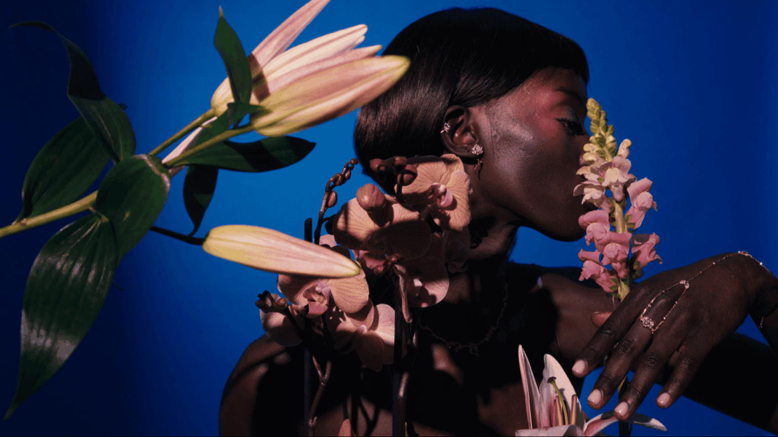 Capture d’écran 2026-02-26 à 09.47.39