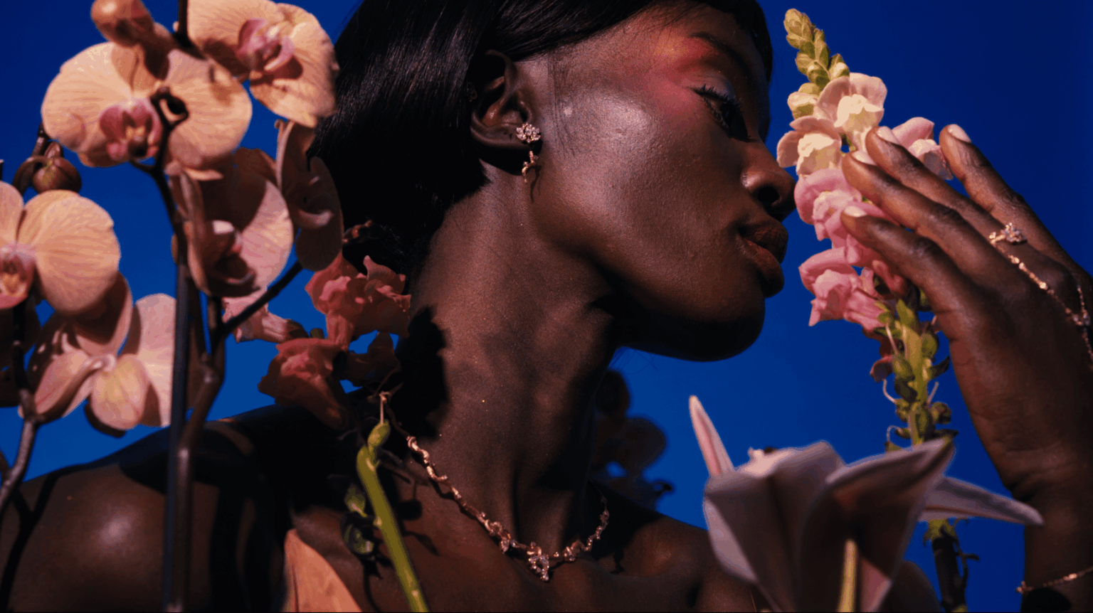 Capture d’écran 2026-02-26 à 09.52.08