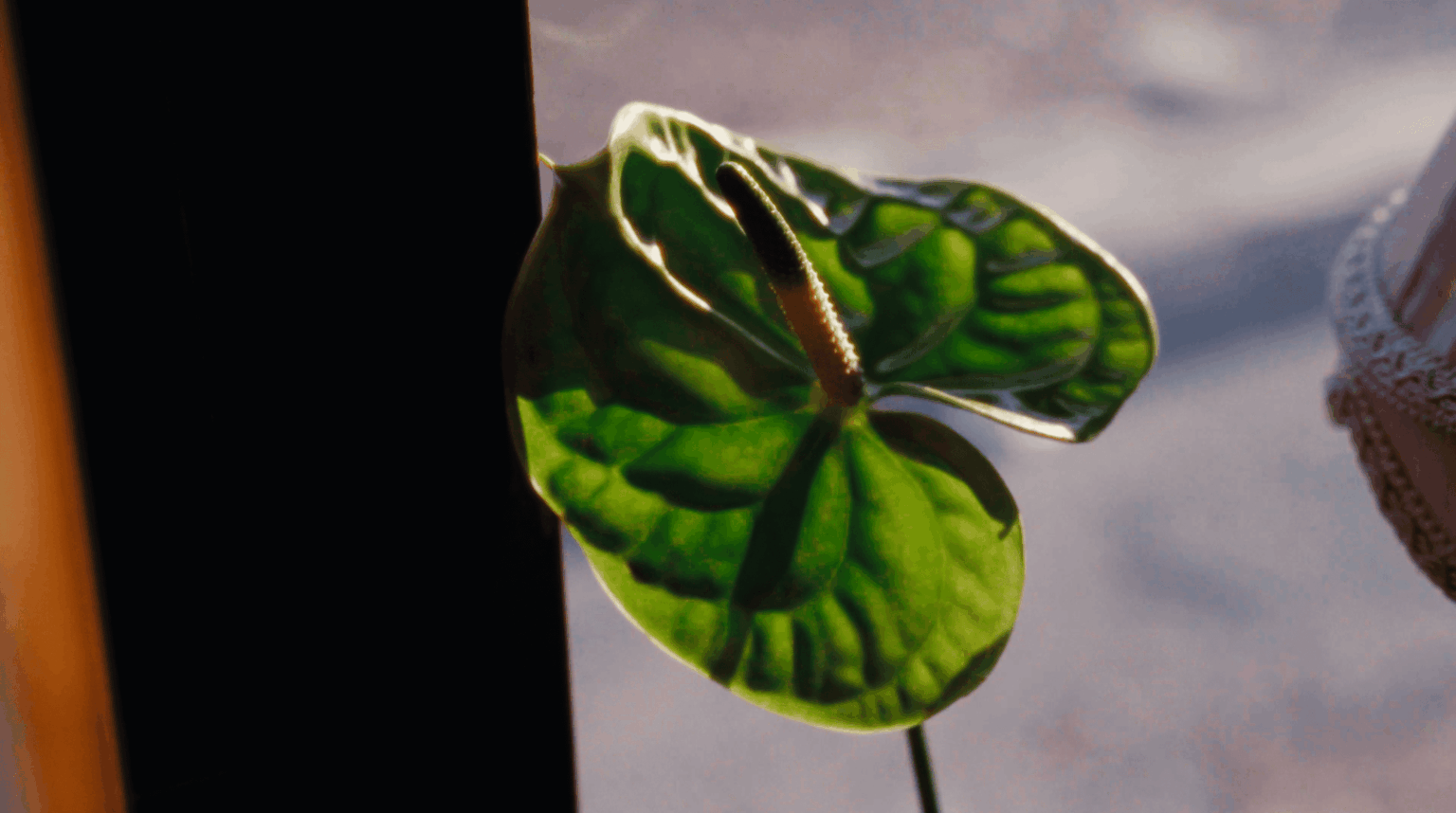 Capture d’écran 2026-03-05 à 13.59.33