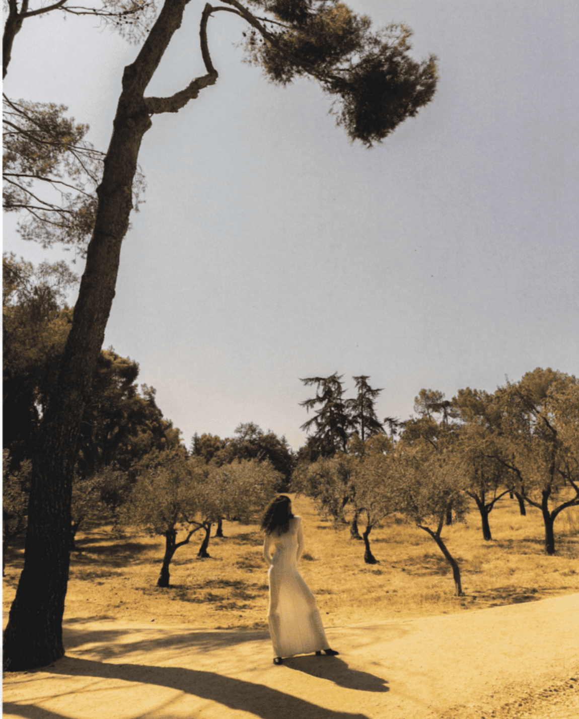 Capture d’écran 2026-03-10 à 12.52.54