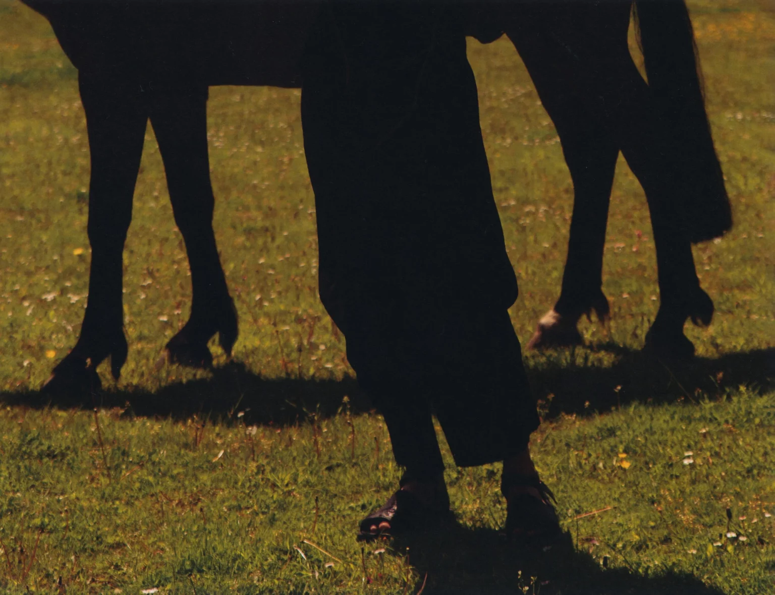 Tiscar_Espadas_01_2023-11-14-104526_ekzy